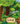 Exploring the Fascinating World of the Forest