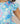 Springtime Splendor Flutter Sleeve Twirl Dress