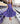 TCU Plaid Frog Flutter Twirl Dress