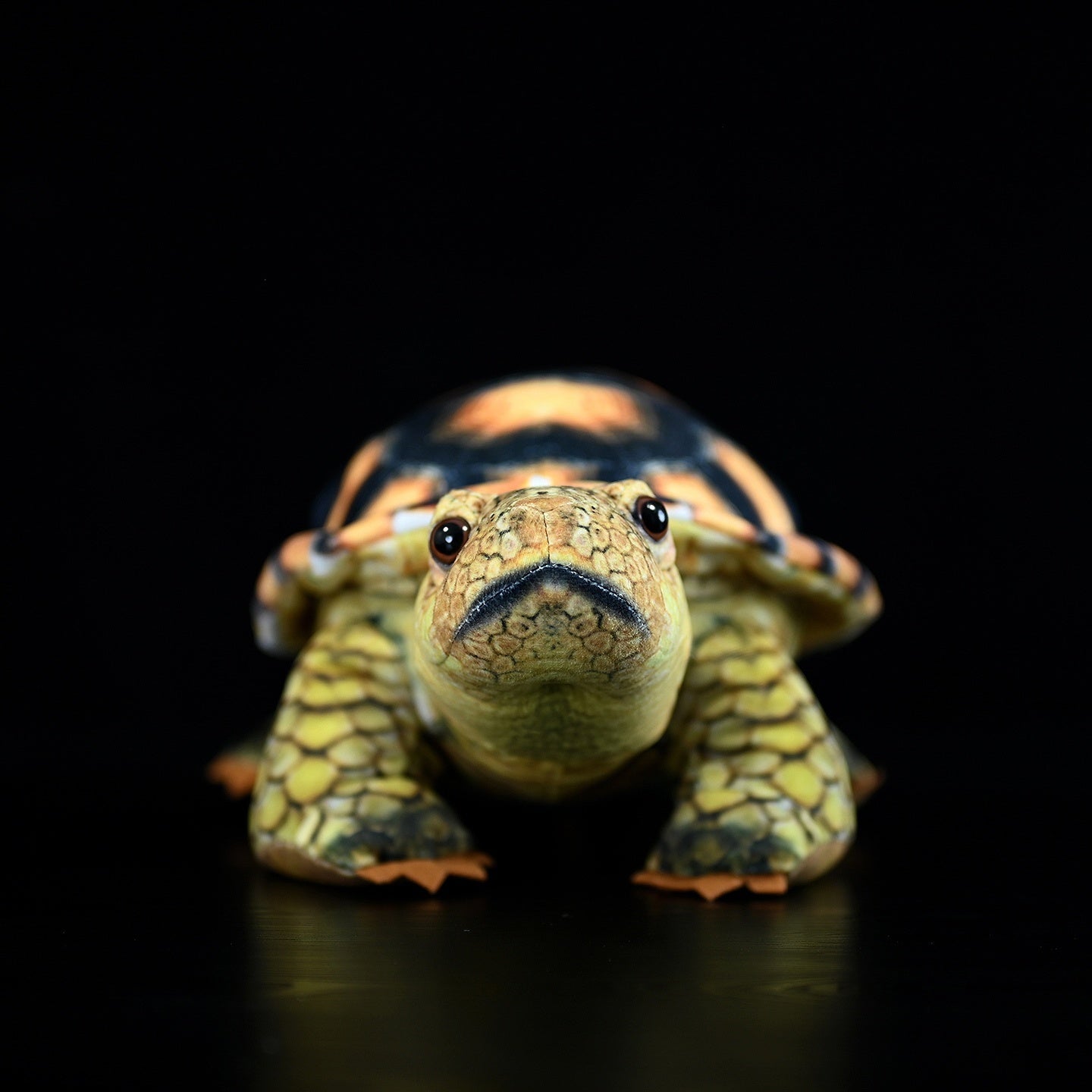 Simulated Land Turtle Doll Cute Turtle Doll Plush Toy - Cindi Book