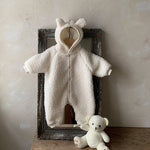 Baby Winter Boys And Girls Bear Double-sided Lamb Hooded Cotton Jersey - Cindi Book