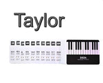 Adjustable Volume Hand Cranked Electronic Piano - Cindi Book