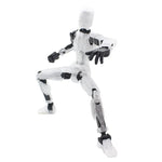 3D Printing More Than Movable Joint Doll Lucky 13 Full Body Movable Robot - Cindi Book