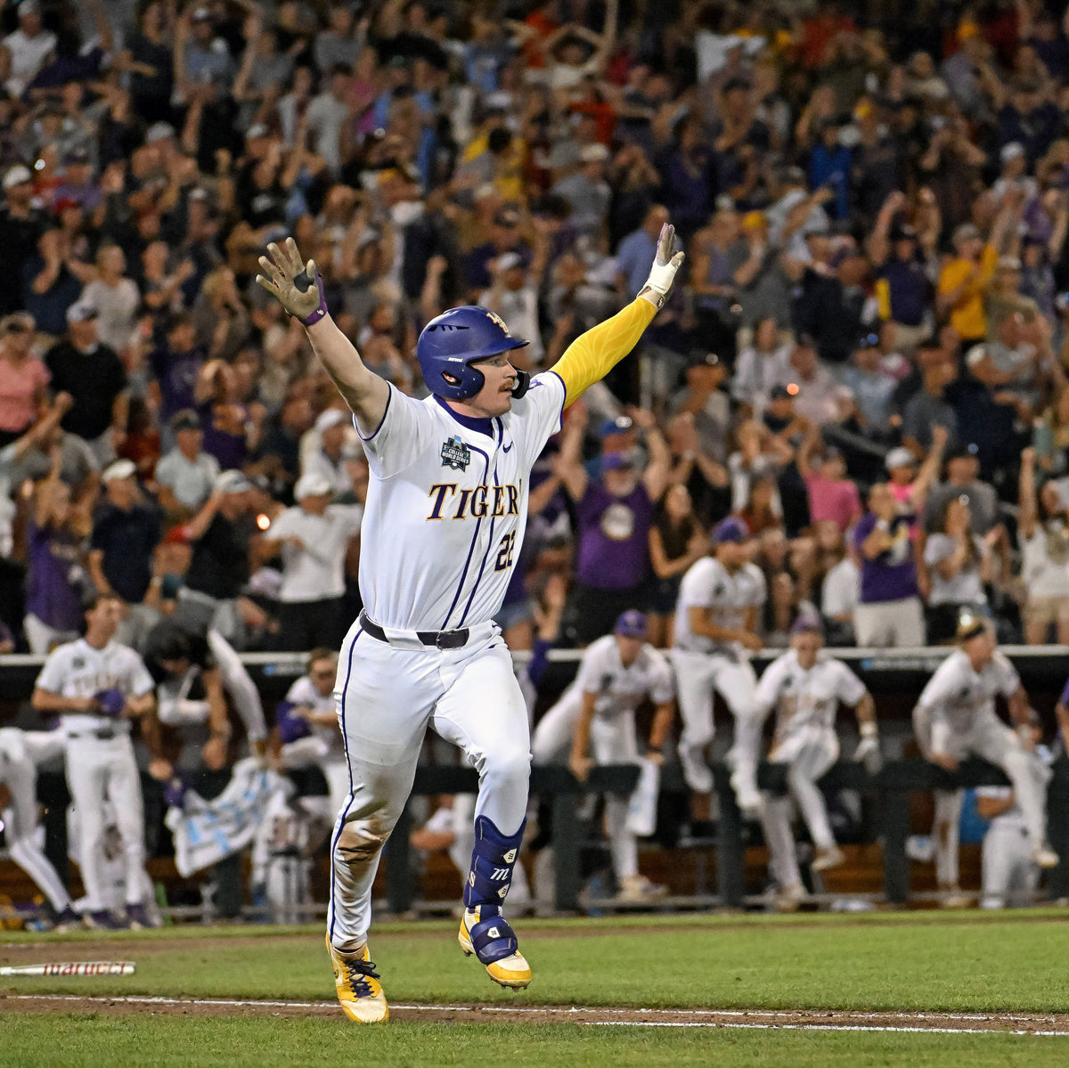Great Eight: The story of LSU Baseballs eighth national championship
