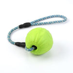 Dog Ball Toy  Bite Resistance Puzzle Training - Cindi Book