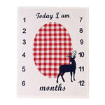 Memorial baby blanket - Cindi Book