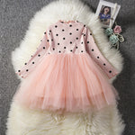 Baby Girls Spring Winter Long Sleeve Tutu Lace Dresses Infantil Newborn 1st Birthday Party Clothes Christening Gown Casual Wear - Cindi Book