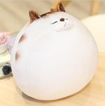 New Japanese Cute Pet Kitten  Doll Plush Toy - Cindi Book