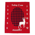 Memorial baby blanket - Cindi Book