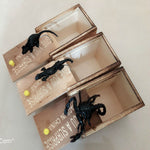 Prank Spider Wooden Scare Box Trick Play Joke Lifelike Surprise April Fools' Day Funny Novelty Toys Gags Practical Gifts - Cindi Book