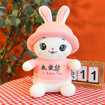 With Hat Rabbit Stuffed Animal Toy Female - Cindi Book