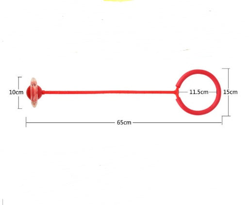 Flashing LED Flash Jumping Ring Dancing Ball Glowing Fitness Training Outdoor  Sports - Cindi Book