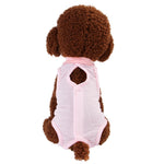 Pet clothes, cat weaning clothes, bite-proof surgical clothes, cat sterilization clothes - Cindi Book
