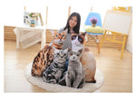 Simulation cat pillow cute cat doll plush toy stereo pet doll - Cindi Book