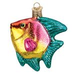 Old World Christmas Pink/yellow Tropical Angelfish Ornament - hand-blown glass Christmas tree ornament (view 3)