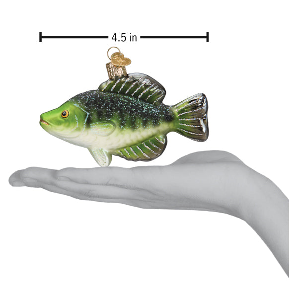 Old World Christmas Crappie Ornament - hand-blown glass Christmas tree ornament (view 6)