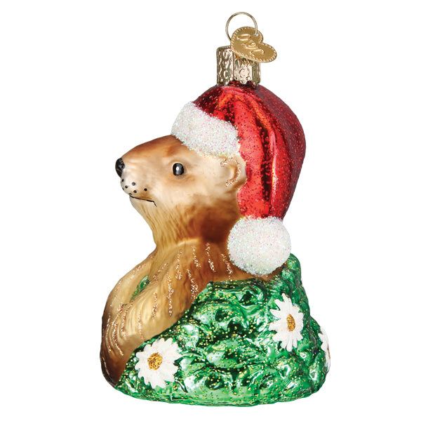 Old World Christmas Santa Groundhog Ornament - hand-blown glass Christmas tree ornament (view 5)
