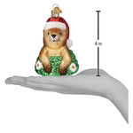 Old World Christmas Santa Groundhog Ornament - hand-blown glass Christmas tree ornament (view 6)
