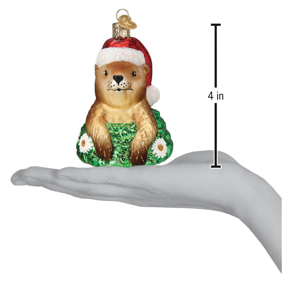 Old World Christmas Santa Groundhog Ornament - hand-blown glass Christmas tree ornament (view 6)