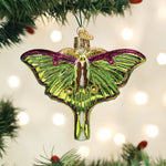Old World Christmas Luna Moth Ornament - hand-blown glass Christmas tree ornament