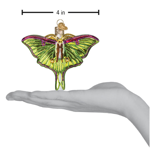 Old World Christmas Luna Moth Ornament - hand-blown glass Christmas tree ornament (view 6)