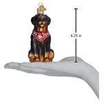 Old World Christmas Rottweiler Ornament - hand-blown glass Christmas tree ornament (view 6)