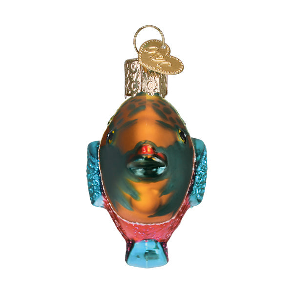 Old World Christmas Parrotfish Ornament - hand-blown glass Christmas tree ornament (view 5)