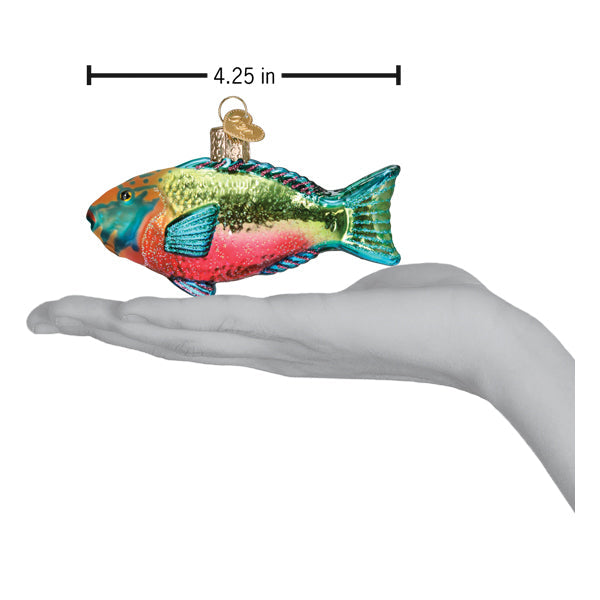 Old World Christmas Parrotfish Ornament - hand-blown glass Christmas tree ornament (view 6)