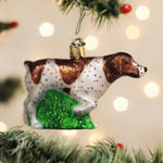 Old World Christmas German Shorthaired Pointer Ornament - hand-blown glass Christmas tree ornament