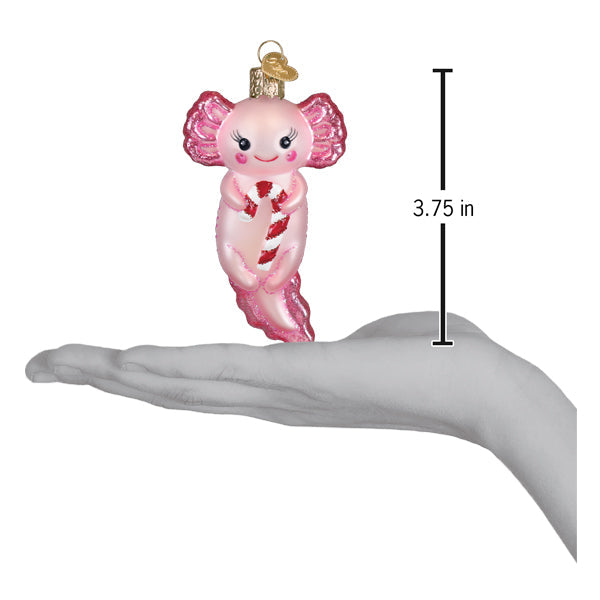 Old World Christmas Axolotl With Candy Cane Ornament - hand-blown glass Christmas tree ornament (view 5)