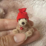 Creative Plush Mini Bear Doll - Cindi Book