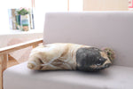 3D Simulation Belldog Plush Toy Pillow Real Life Doll Funny Pug Dog Doll Nap Pillow Lying Prone Soft Sofa Pillow - Cindi Book