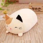 Sleeping Long Pillow Soft Plush Down Cotton - Cindi Book