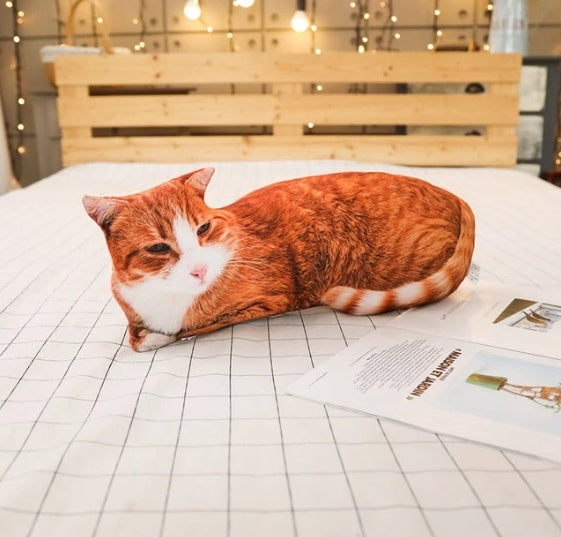 Simulation cat pillow cute cat doll plush toy stereo pet doll - Cindi Book