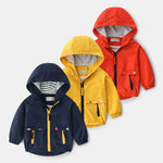 Assault Boy Baby Foreign Style Children's New Clothes Spring And Autumn - Cindi Book