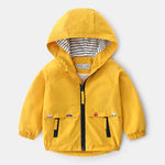 Assault Boy Baby Foreign Style Children's New Clothes Spring And Autumn - Cindi Book
