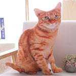 Simulation cat pillow cute cat doll plush toy stereo pet doll - Cindi Book