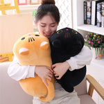 Cute Fat Cat Plush Doll Soft Cute Cat Rag Doll Doll - Cindi Book
