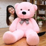 Children's Birthday Plush Toy Teddy Bear - Cindi Book