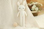 Children's Comfort Doll Company Gift Plush Rabbit - Cindi Book