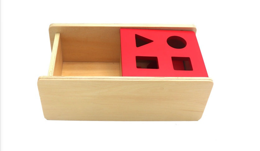 Montessori Early Childhood Education Teaching Aids Ic Class Nido Class Hand Eye Coordination Shape Matching Cognitive Toys - Cindi Book
