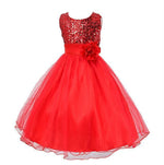 Baby Sequin Dress Flower Girl Wedding Princess Dress - Cindi Book