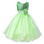 Baby Sequin Dress Flower Girl Wedding Princess Dress - Cindi Book