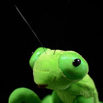 Lifelike Mantis Plush Toys Mantis Stuffed Animals Toy For Kids - Cindi Book
