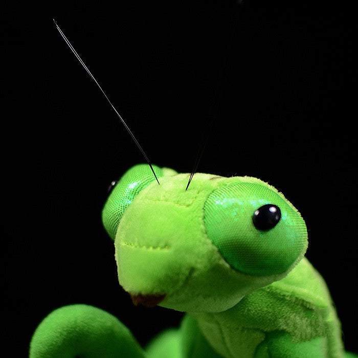 Lifelike Mantis Plush Toys Mantis Stuffed Animals Toy For Kids - Cindi Book