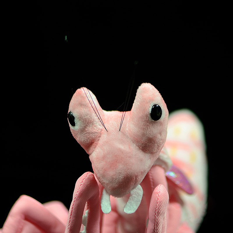 Lifelike Mantis Plush Toys Mantis Stuffed Animals Toy For Kids - Cindi Book