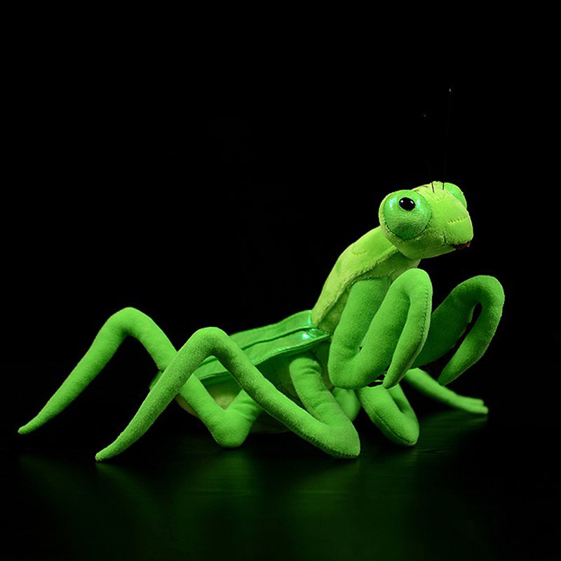 Lifelike Mantis Plush Toys Mantis Stuffed Animals Toy For Kids - Cindi Book