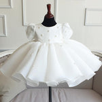 First Birthday Party Dress Baby Tutu Performance - Cindi Book