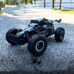 Boy Toy Remote Control Car - Cindi Book