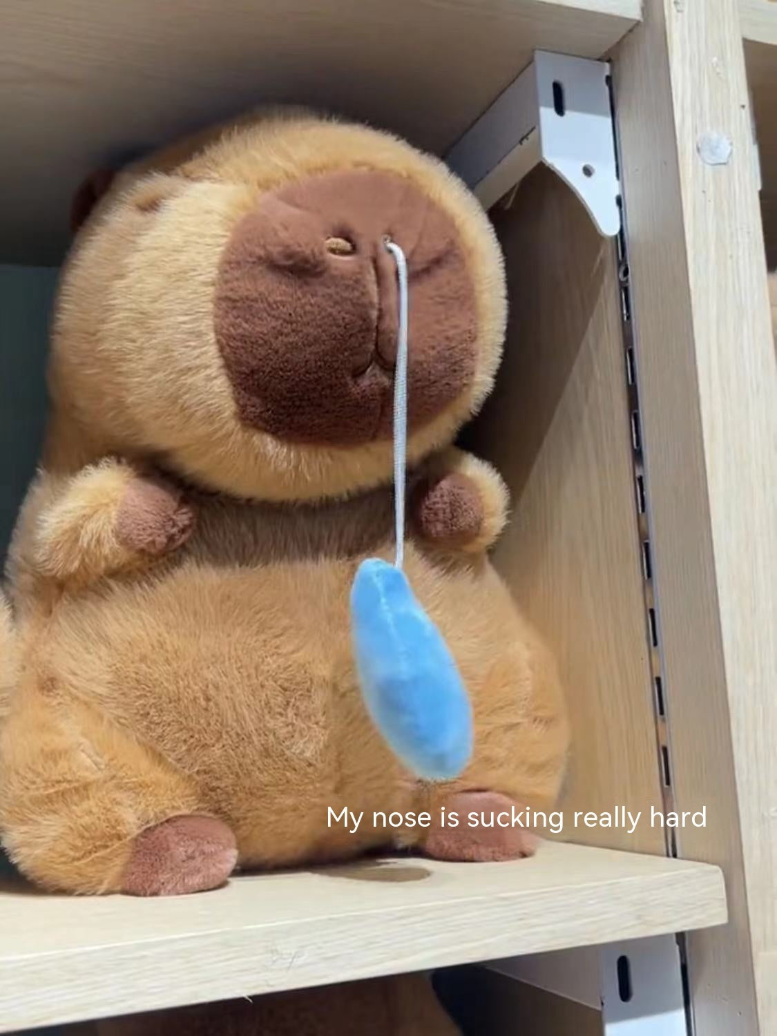 New Capibara Snot Withdraw Doll Doll Plush Toy Capybara Ugly And Cute Pillow Capybara Online Influencer Cute - Cindi Book